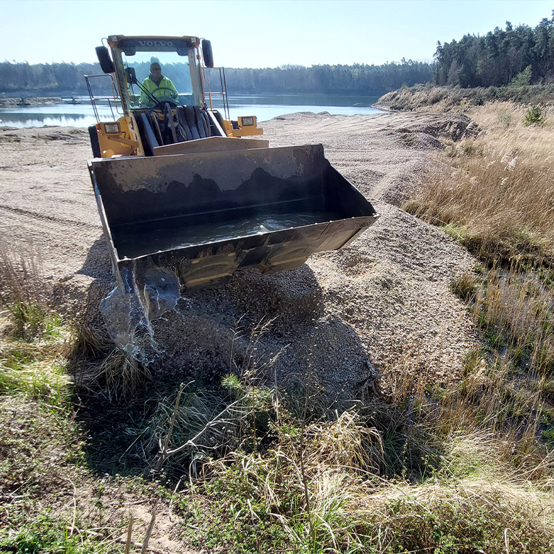 Grasfrosch als Hinweis auf ökologische Verantwortung im Krisenmanagement bei Krieger